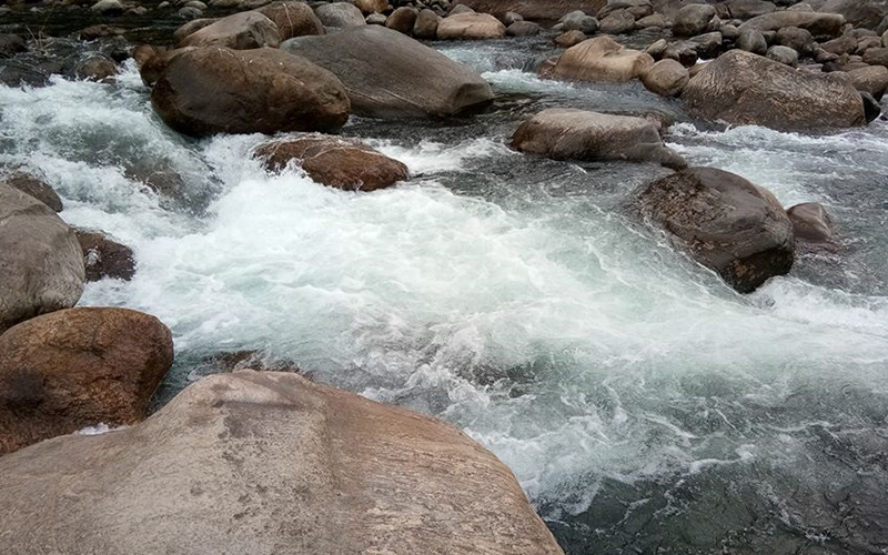 Ramri Homestay Gallery Image